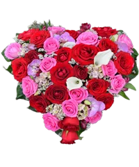 Cuore di rose