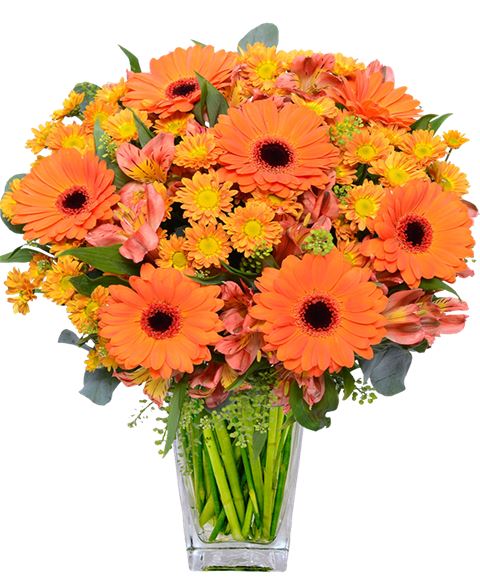Bouquet